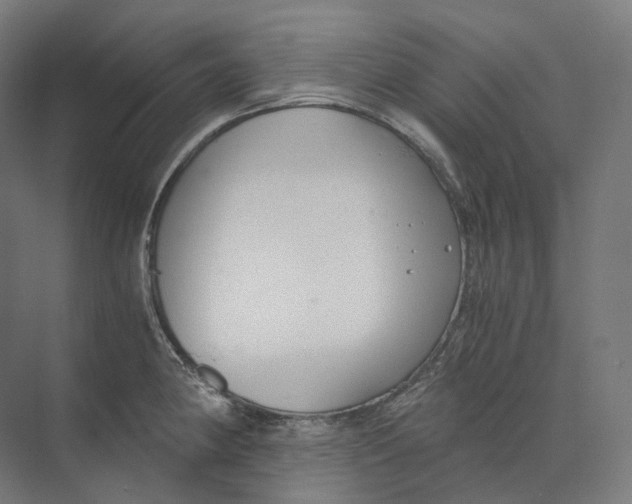 X0000073861190200609071625