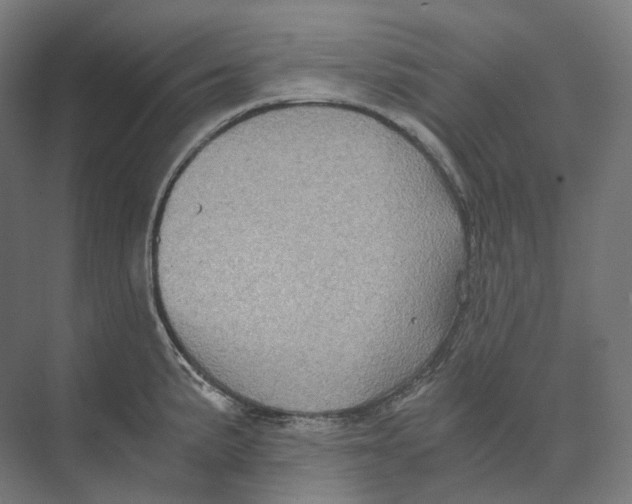 X0000073861191200609071625