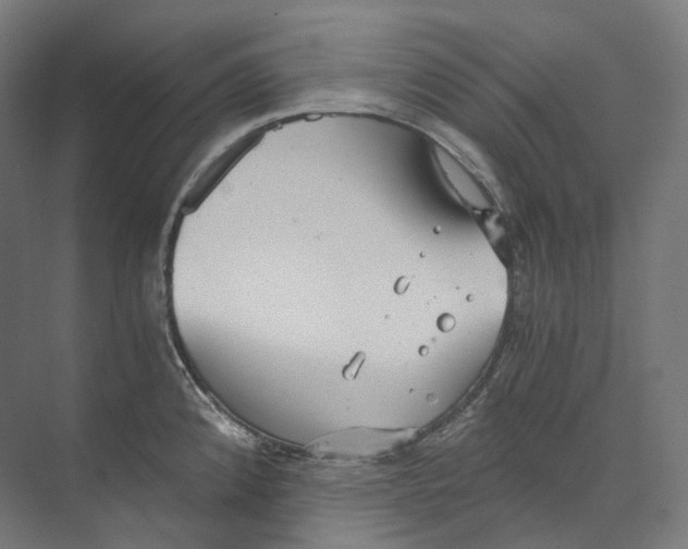 X0000073861192200609071625