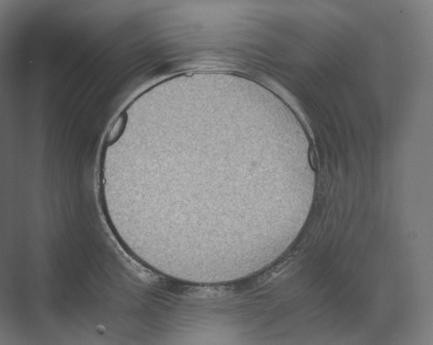 X0000073861195200609071625