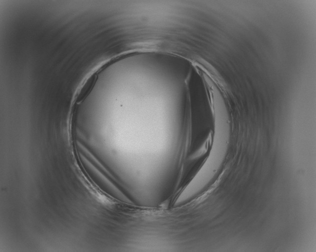 X0000073861196200609071625