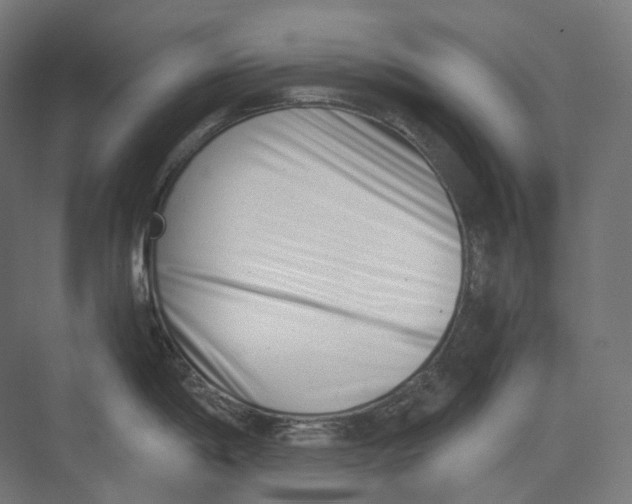 X0000073861198200609071625