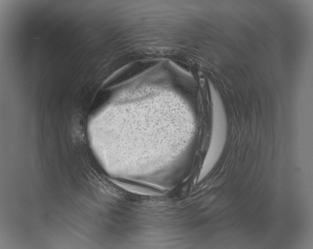 X0000073861202200609071624