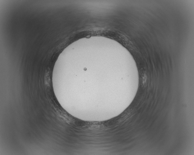 X0000073861204200609071624