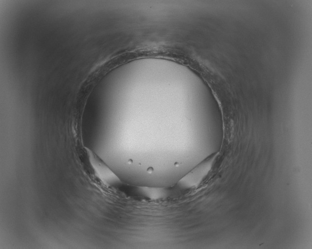 X0000073861206200609071624