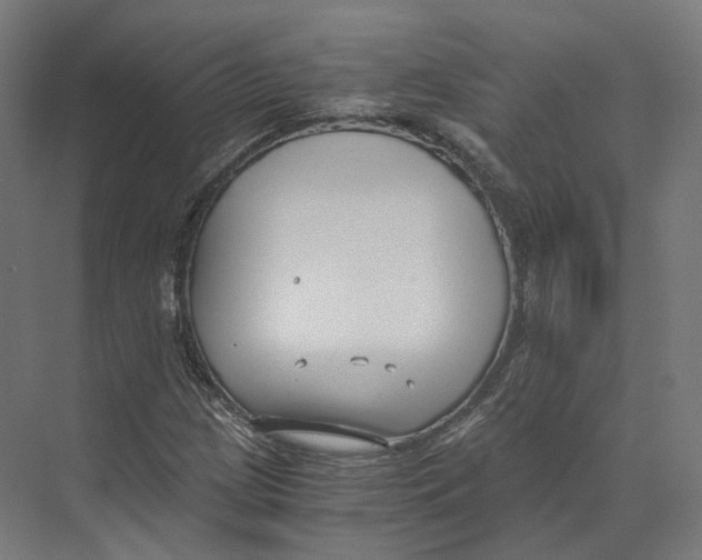 X0000073861209200609071624