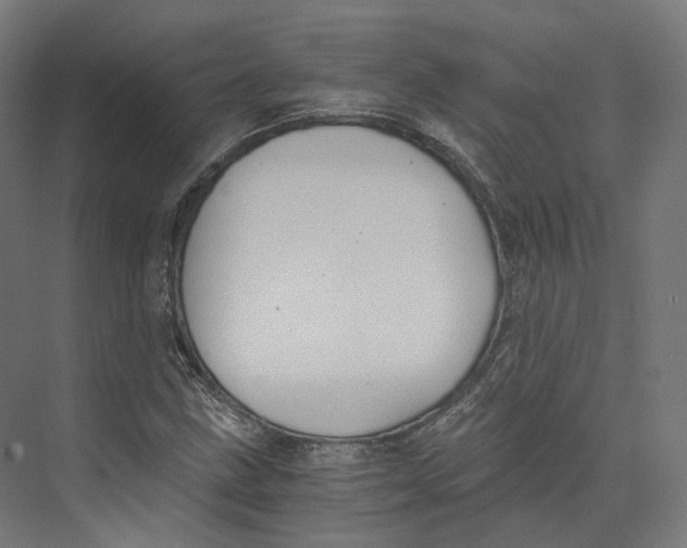 X0000073861211200609071624