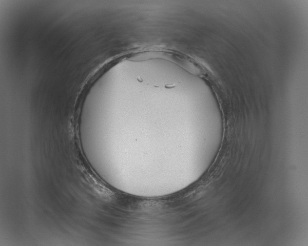 X0000073861212200609071624