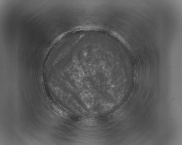 X0000073861213200609071624