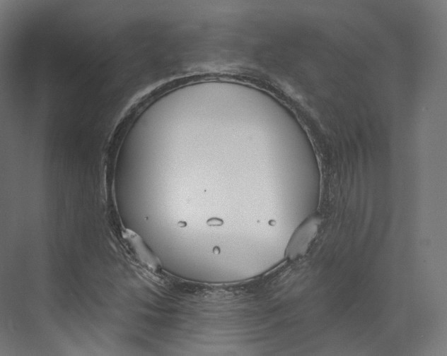 X0000073861214200609071624