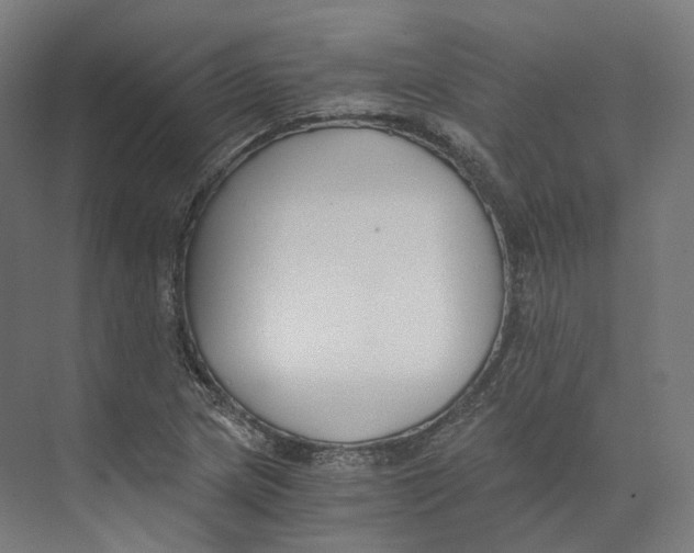 X0000073861217200609071624