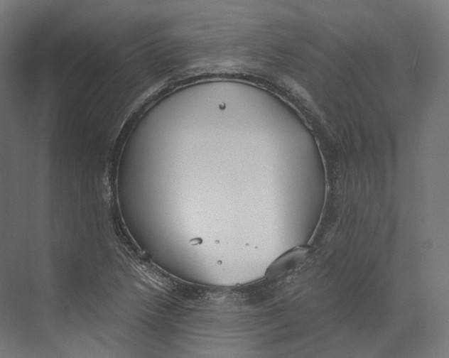 X0000073861218200609071624