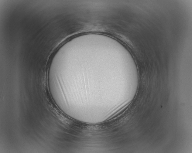 X0000073861220200609071624