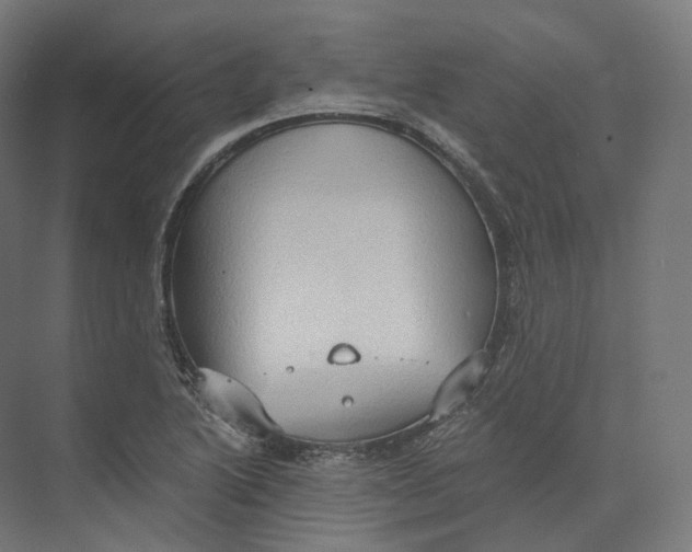 X0000073861222200609071624