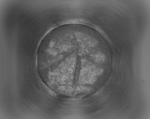 X0000073861224200609071624