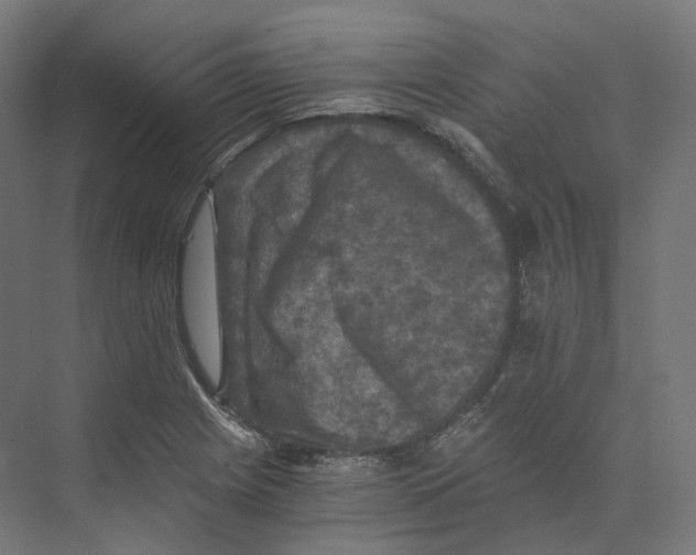 X0000073861225200609071624