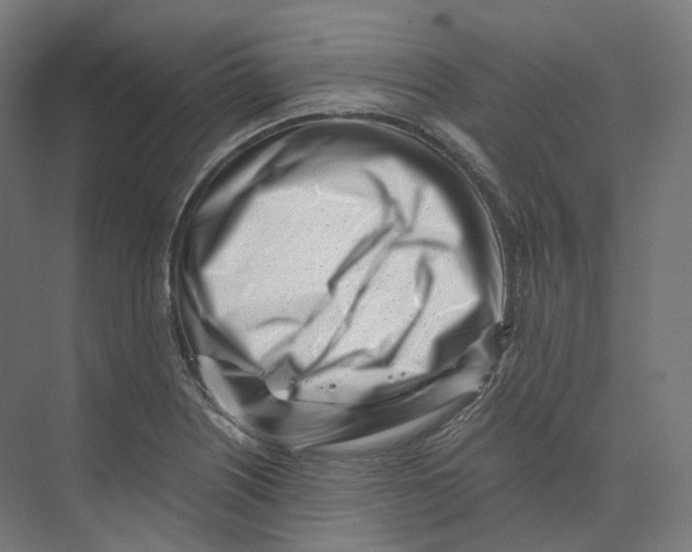 X0000073861226200609071624