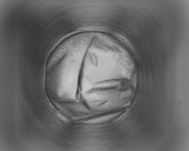 X0000073861228200609071624