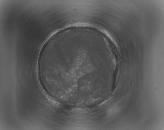 X0000073861229200609071624