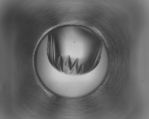 X0000073861230200609071624