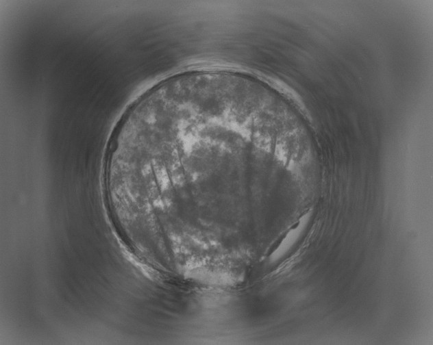 X0000073861231200609071624