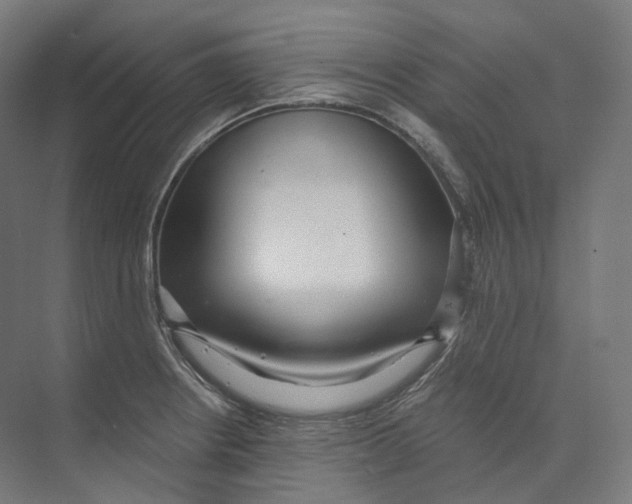 X0000073861234200609071625