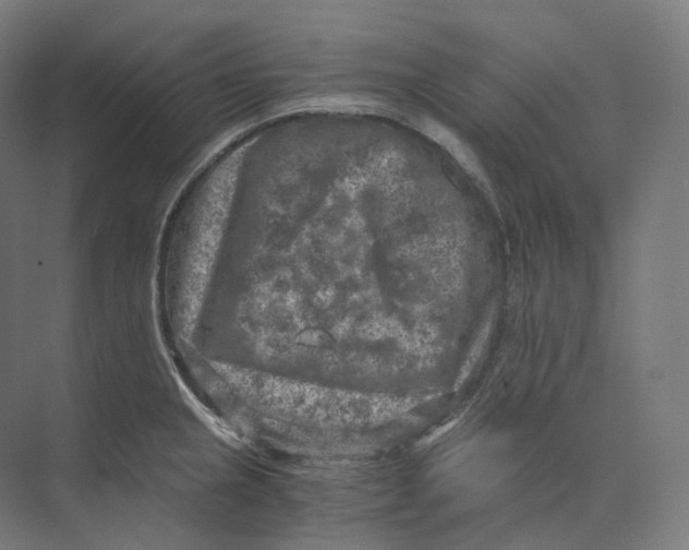 X0000073861237200609071625