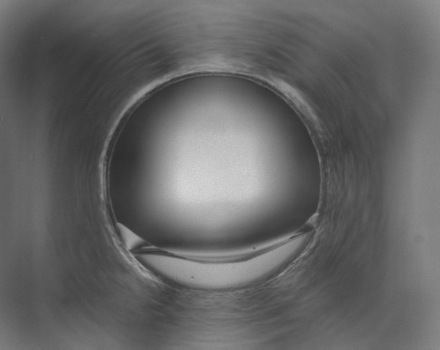 X0000073861238200609071625