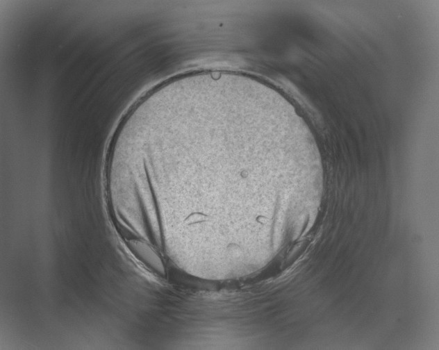 X0000073861240200609071625