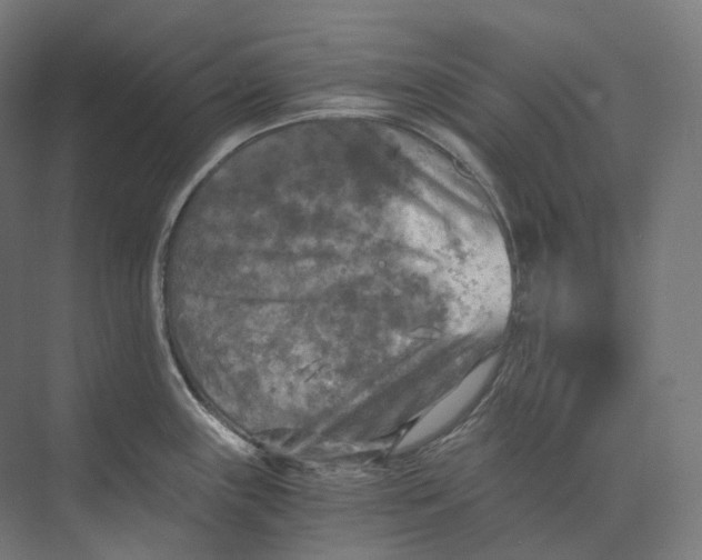 X0000073861243200609071625