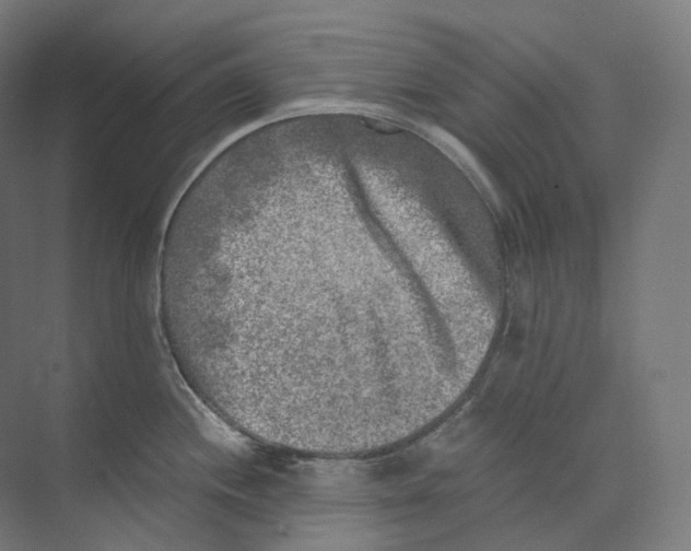 X0000073861244200609071625