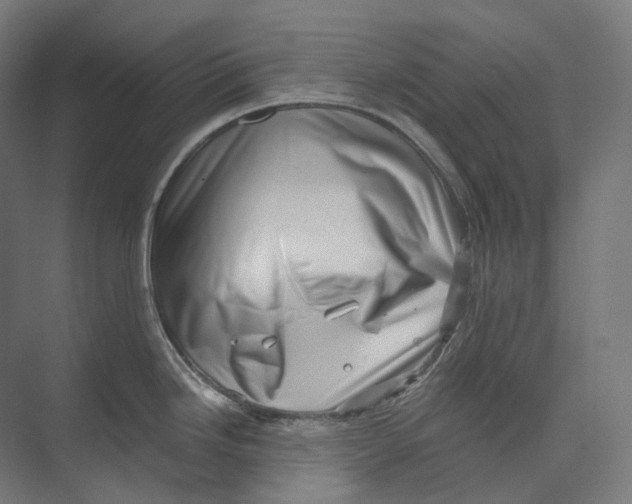 X0000073861246200609071625