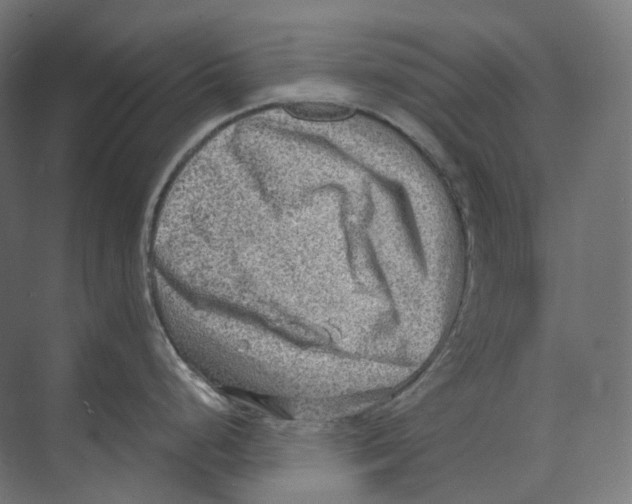 X0000073861248200609071625