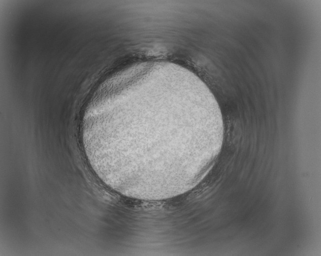 X0000073861249200609071624