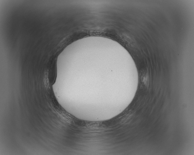 X0000073861252200609071624