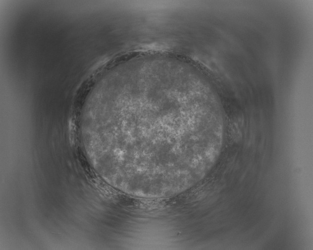 X0000073861254200609071624