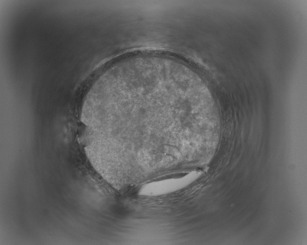 X0000073861255200609071624