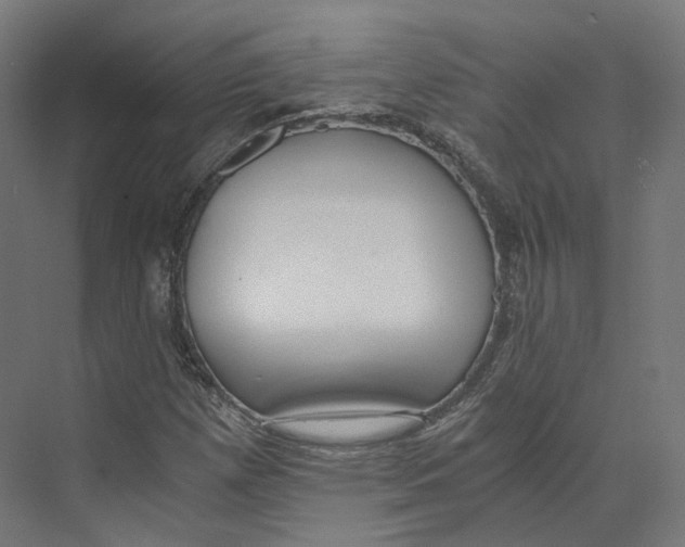 X0000073861257200609071624