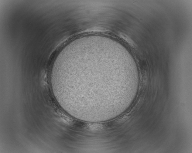 X0000073861258200609071624