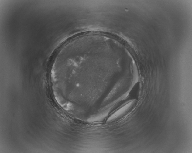 X0000073861263200609071624