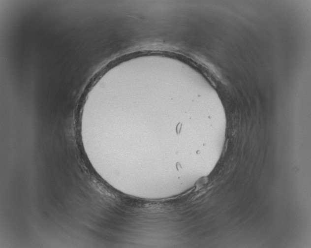 X0000073861264200609071624