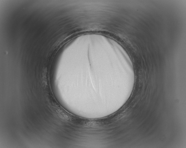 X0000073861265200609071624