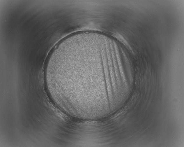 X0000073861268200609071624