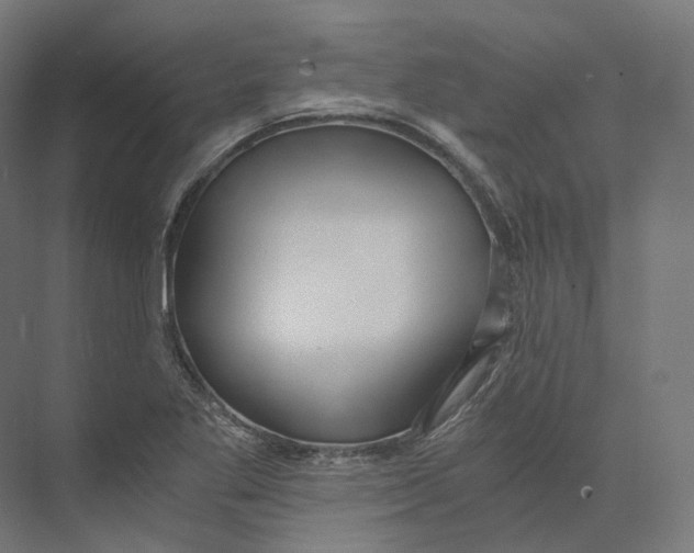 X0000073861269200609071624