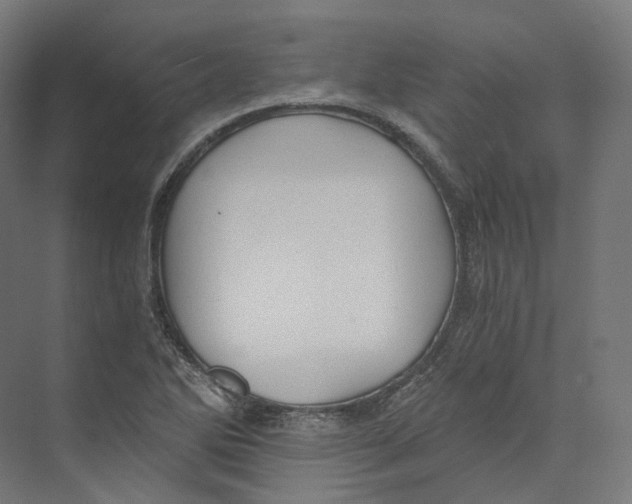 X0000073861270200609071624