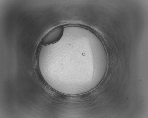 X0000073861271200609071624