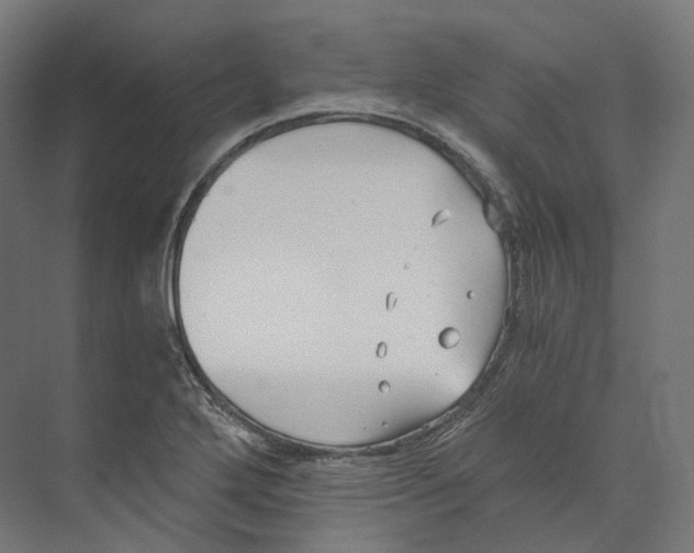 X0000073861272200609071624