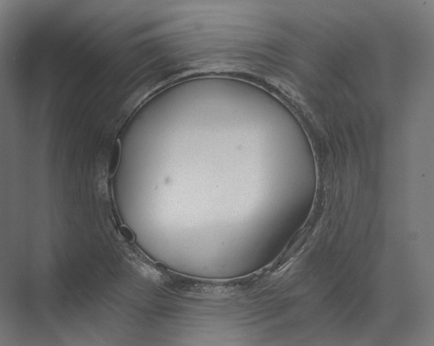 X0000073861273200609071624