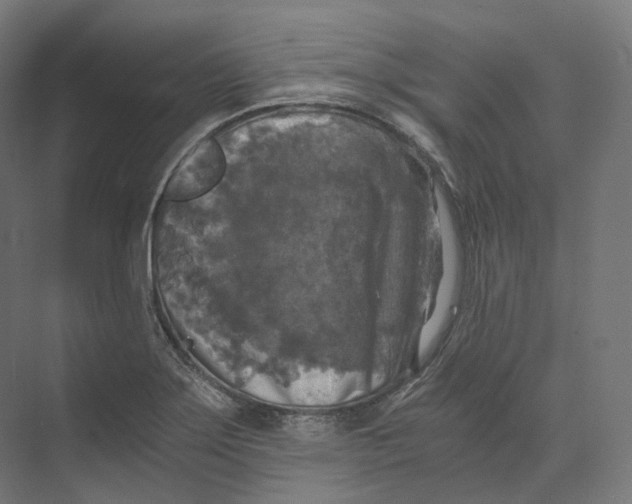 X0000073861275200609071624