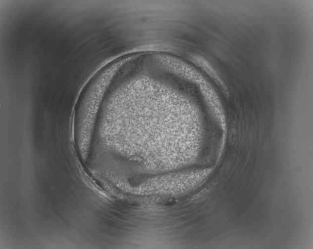 X0000073861276200609071623